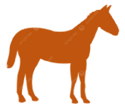 Horse cutout